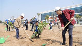 Petrovietnam "vì một Việt Nam xanh" và "xanh hóa Trường Sa"