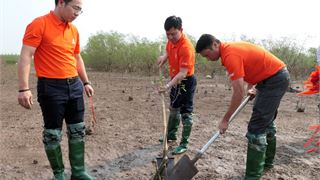 Trồng rừng - “mục tiêu kép” của PVEP trong nỗ lực giảm phát thải