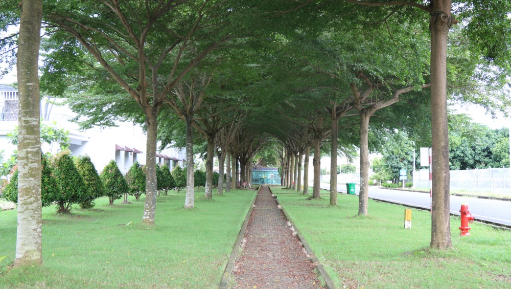Tác phẩm dự thi 