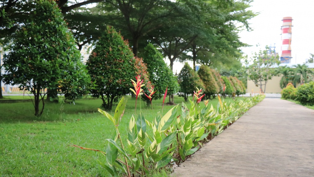 Tác phẩm dự thi 