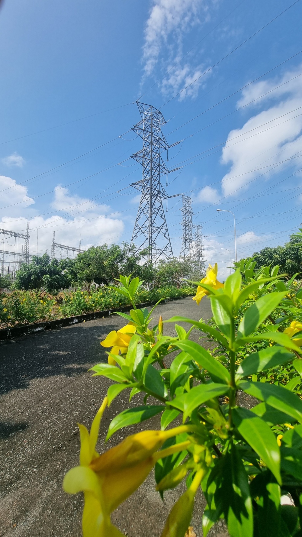 Tác phẩm dự thi 