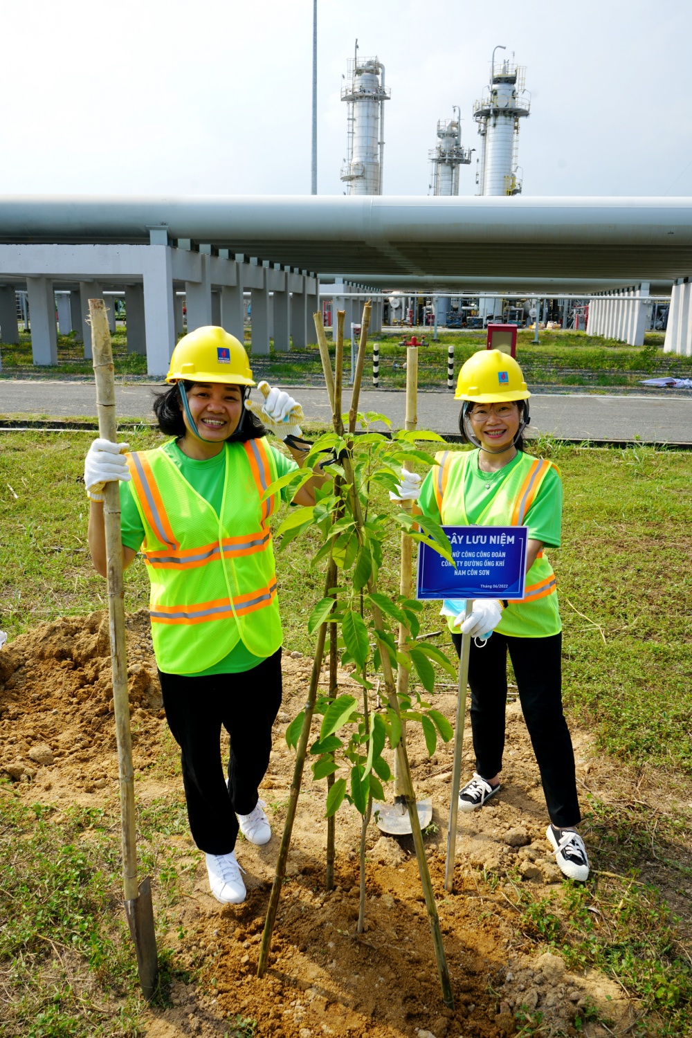 Tác phẩm dự thi 