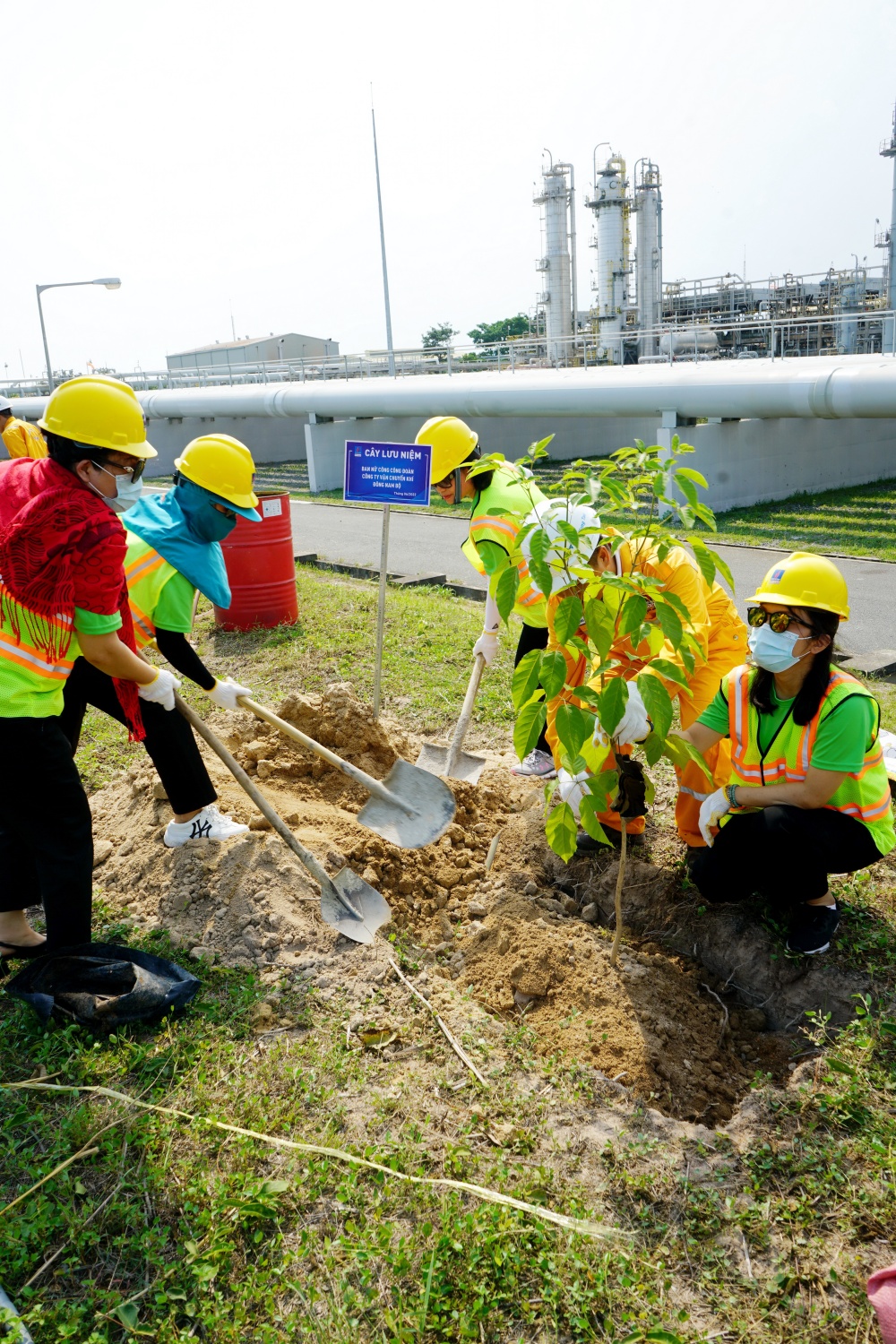 Tác phẩm dự thi 