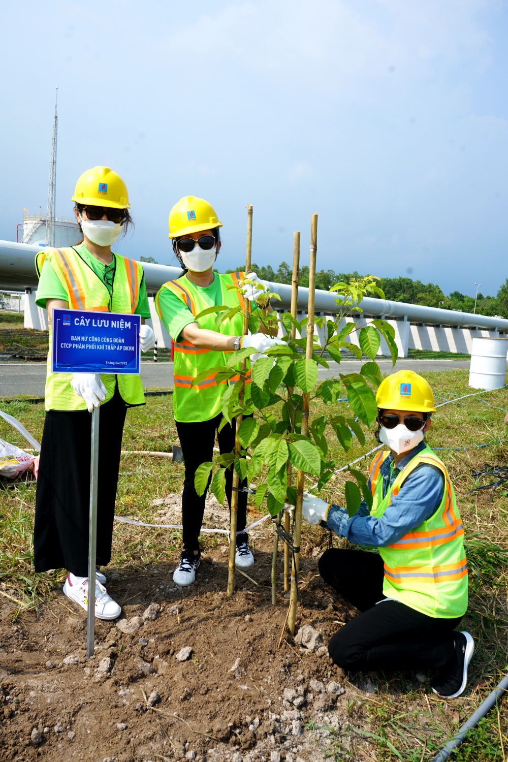 Tác phẩm dự thi 
