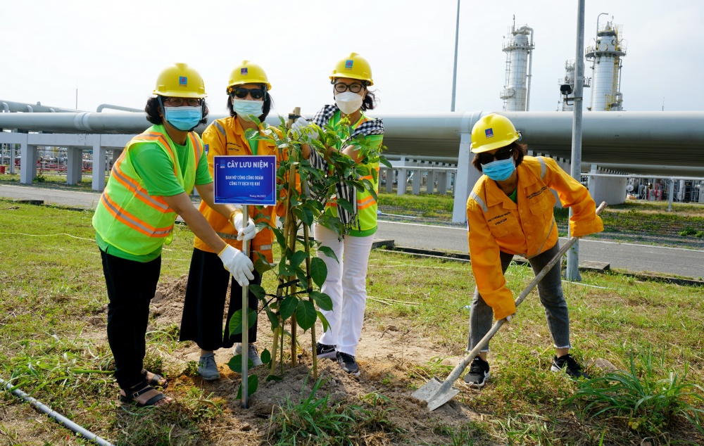 Tác phẩm dự thi 
