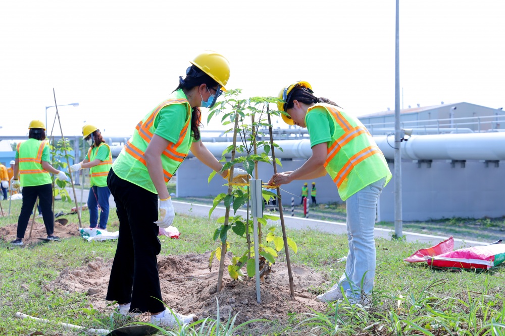 Tác phẩm dự thi 