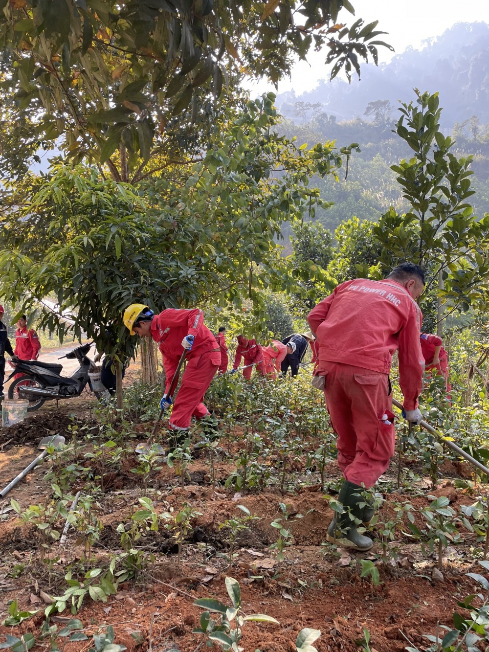 Tác phẩm dự thi Tác phẩm dự thi