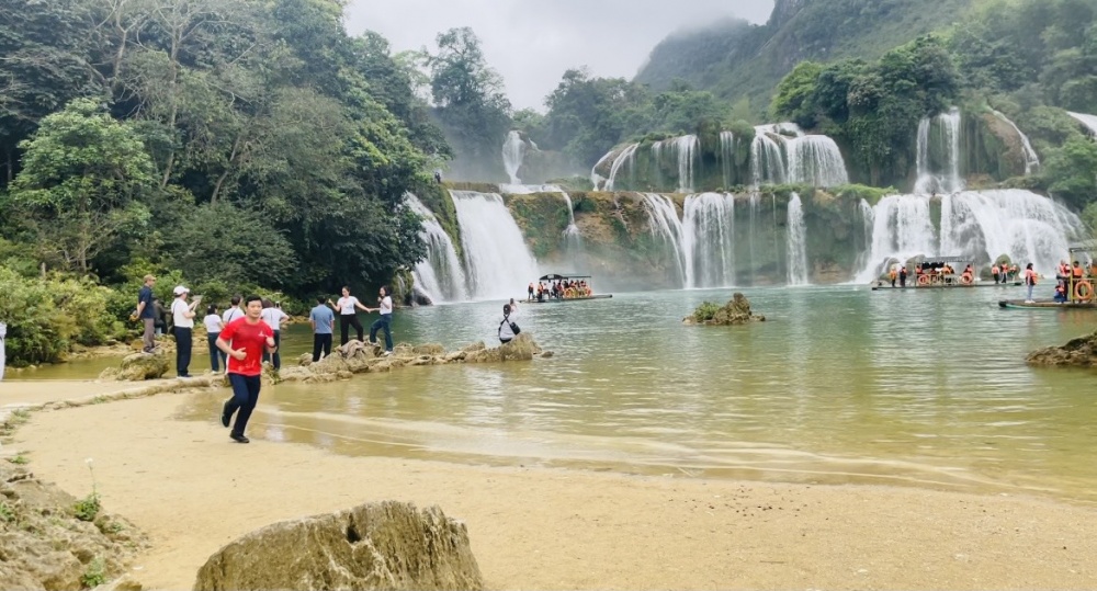 Tác phẩm dự thi 