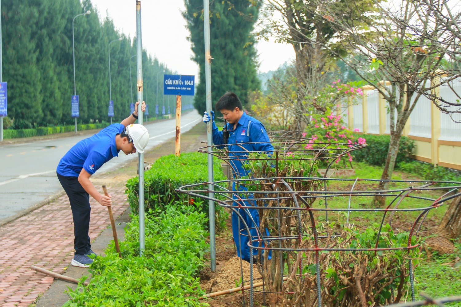 Đoàn Thanh niên BSR tổ chức trồng cây, làm đẹp tuyến đường vào NMLD Dung Quất Đoàn Thanh niên BSR tổ chức trồng cây, làm đẹp tuyến đường vào NMLD Dung Quất