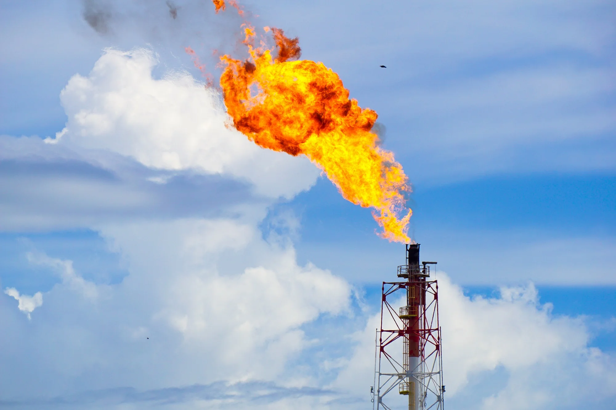 Giá trị các hợp đồng dầu khí ổn định dù số lượng giảm 22% trong năm 2023”