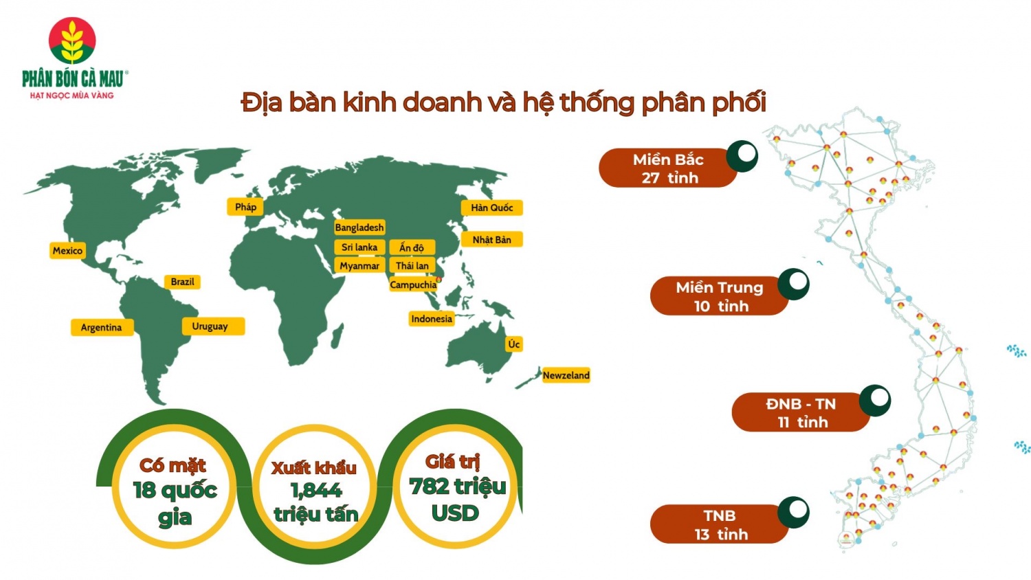 Phân bón Cà Mau: Bước chân vững chắc trên hành trình vươn ra biển lớn”