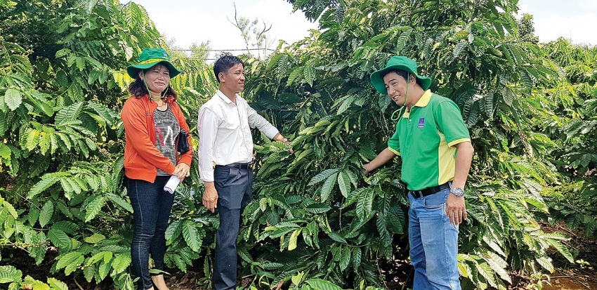 Áp thuế GTGT phân bón 5%, lợi ích thiết thực cho nông nghiệp nông dân”