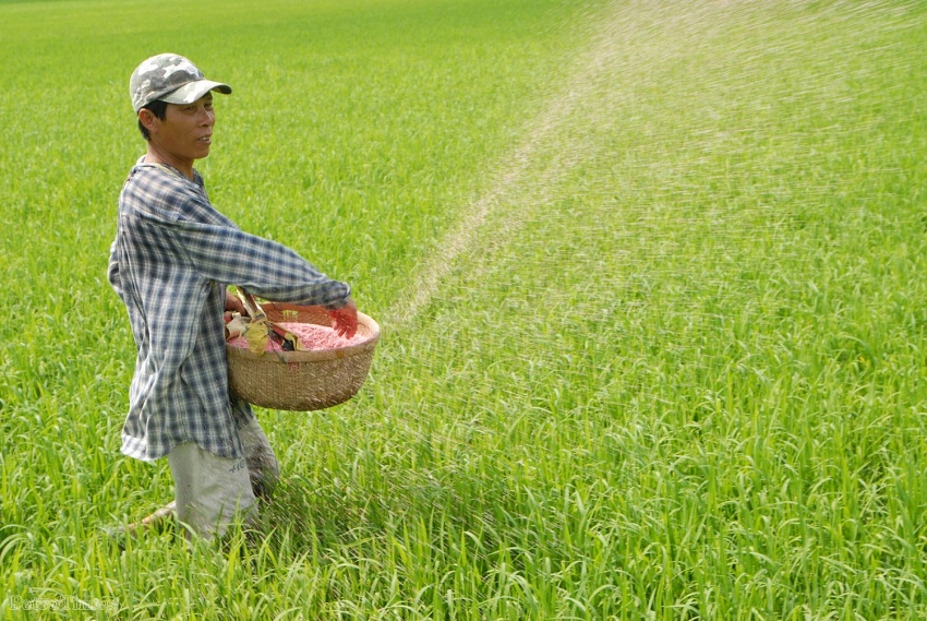 “Ba nhà” chịu thiệt như thế nào khi phân bón không chịu thuế GTGT?”